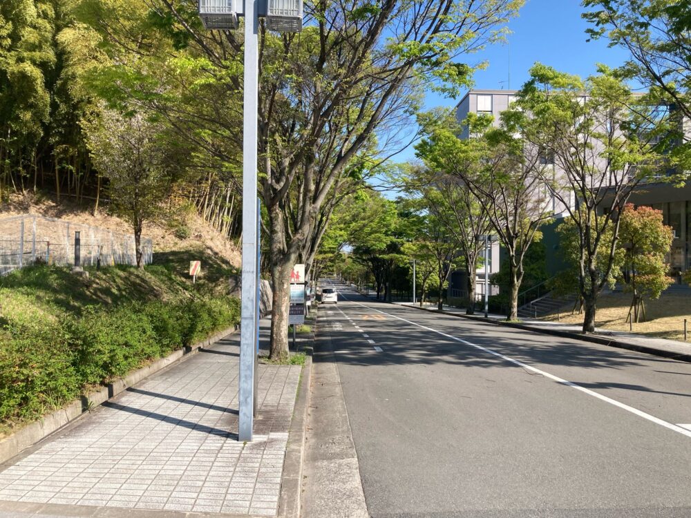 阪大の中の国立公園みたいな通り道